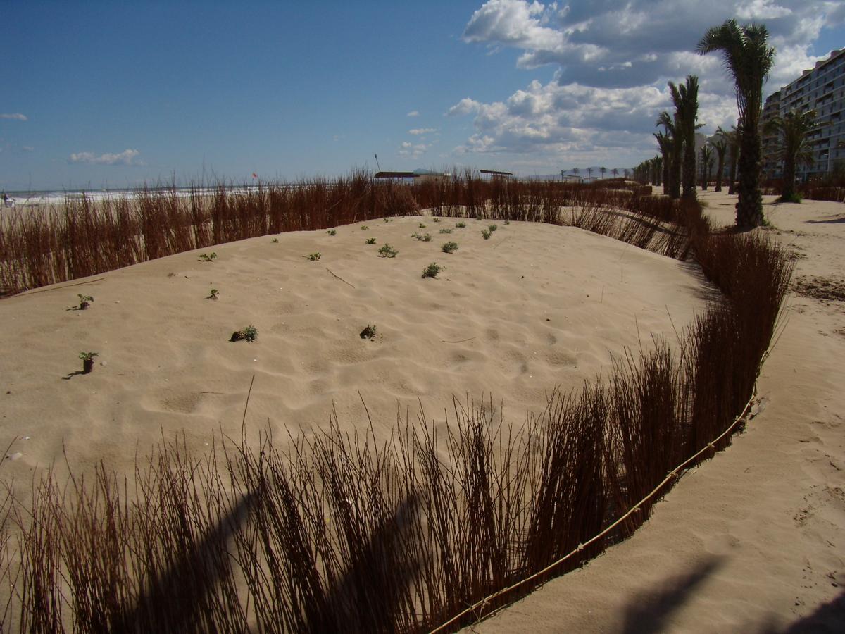Beach & Port Gandía Exterior foto